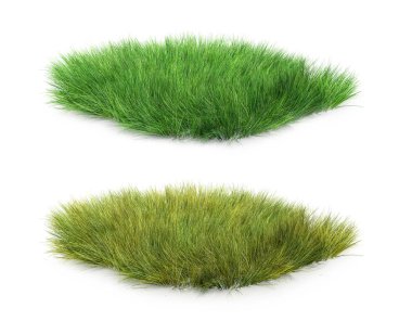 Sarı çimen ve yeşil set, 3D resim