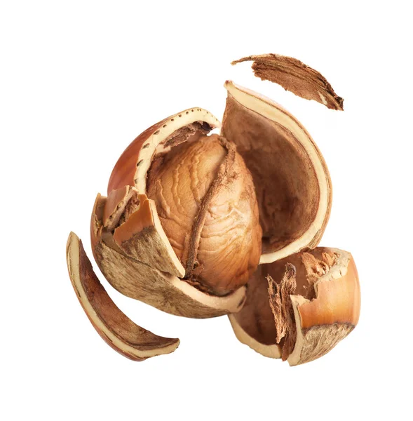 Hazelnuts with a rack broken on a white background — Stock Photo, Image