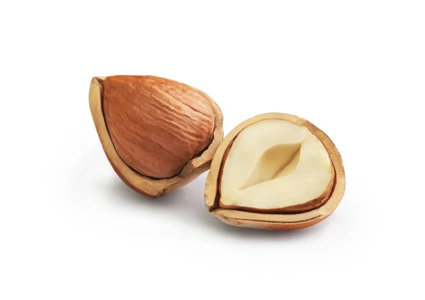 Peeled Hazelnuts White Background — 스톡 사진