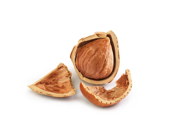 Broken hazelnuts lies on a white background — 스톡 사진