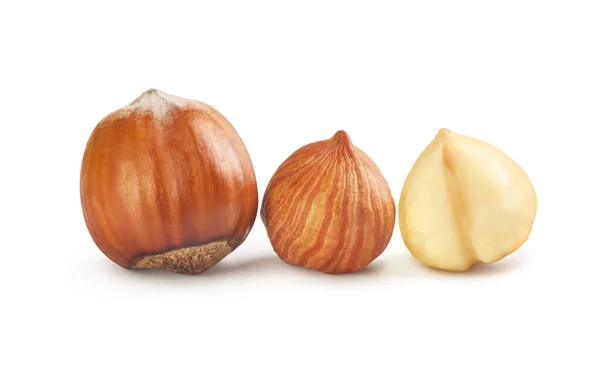 Three hazelnuts on a white background — Stock Photo, Image