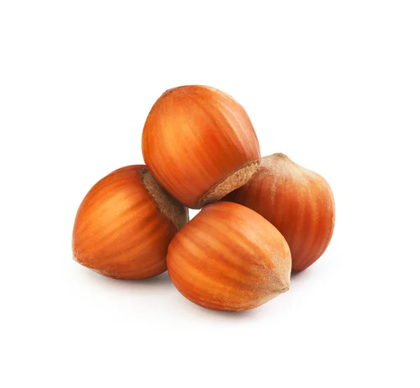 A bunch of hazelnuts in shell on a white background — 스톡 사진