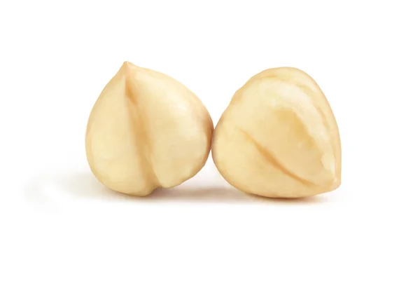 Two peeled hazelnuts on a white background — Stockfoto