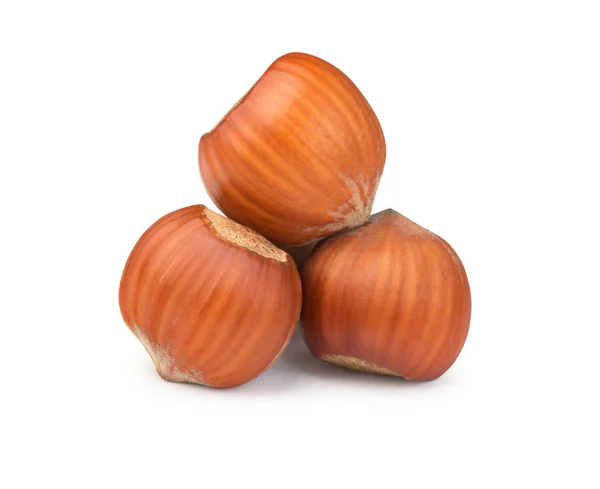 A bunch of hazelnuts in a shell on a white background — 스톡 사진