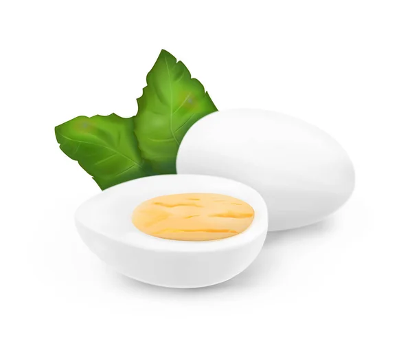 Wit Gekookte Eieren Met Basilicum Bladeren Vectorillustratie — Stockvector
