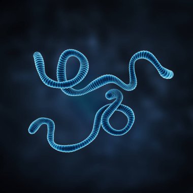 Karanlık bir arka planda Ebola virüsü. 3d illüstrasyon