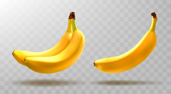 Bananes Vectorielles Isolées Sur Fond Transparent — Image vectorielle