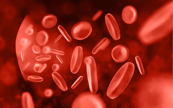 Rode Bloedcellen Ader Vectorillustratie — Stockvector