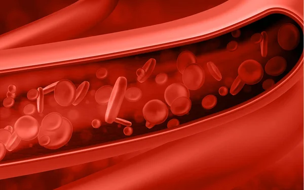 Glóbulos Rojos Vena Ilustración Vectorial — Vector de stock