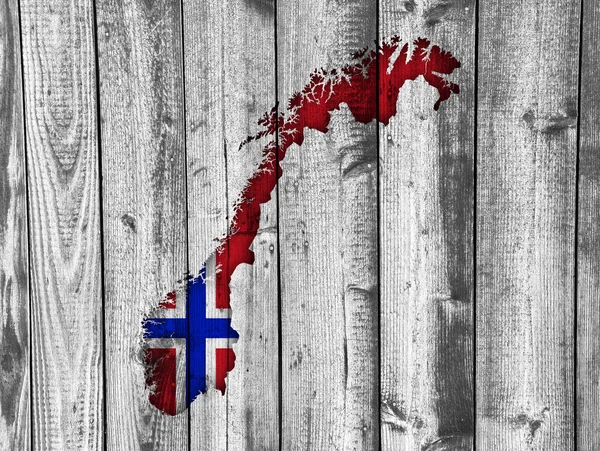 지도 및 나무에 노르웨이의 국기 — 스톡 사진
