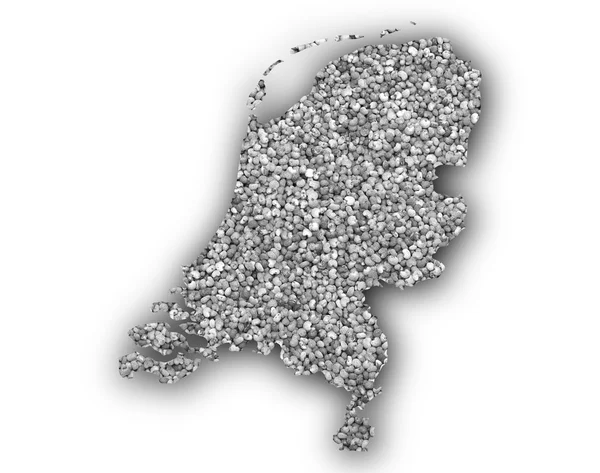 Карта Нидерландов на семенах мака — стоковое фото