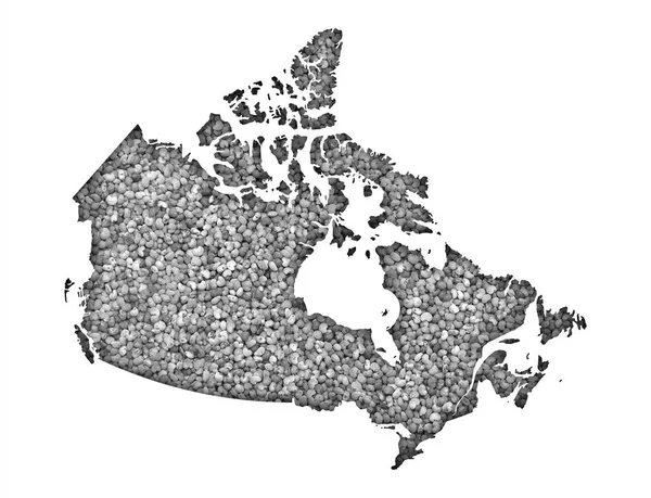 Carte du Canada sur les graines de pavot — Photo