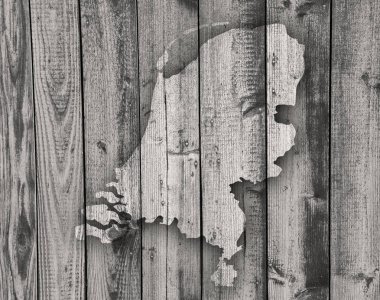 Dokulu Hollanda Haritası,