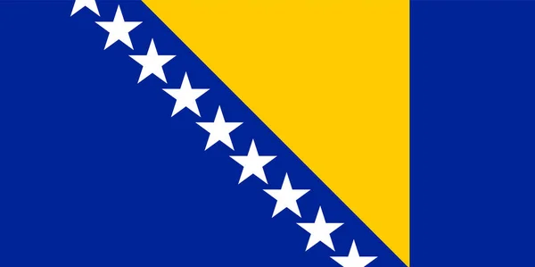 Gekleurde vlag van Bosnië en Herzegovina — Stockvector