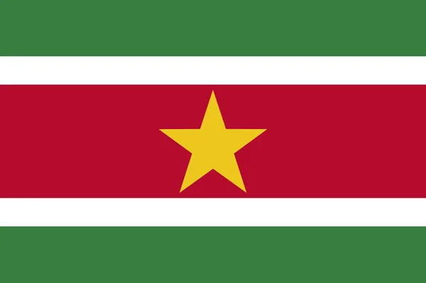 Bandeira colorida de Suriname —  Vetores de Stock