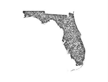 Florida harita üzerinde haşhaş tohumu
