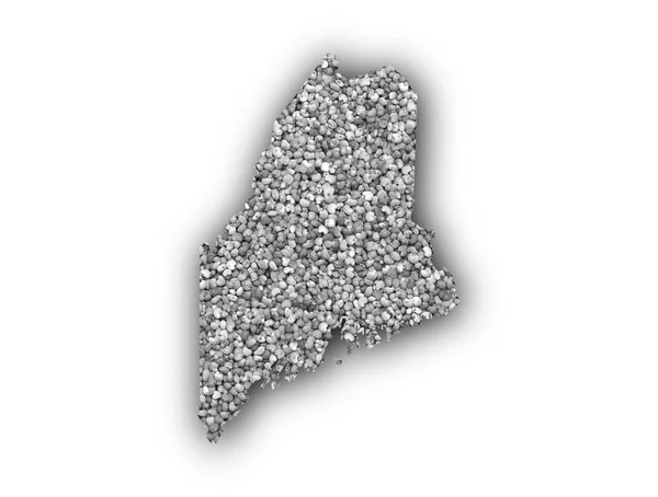 Kaart van Maine op maanzaad — Stockfoto