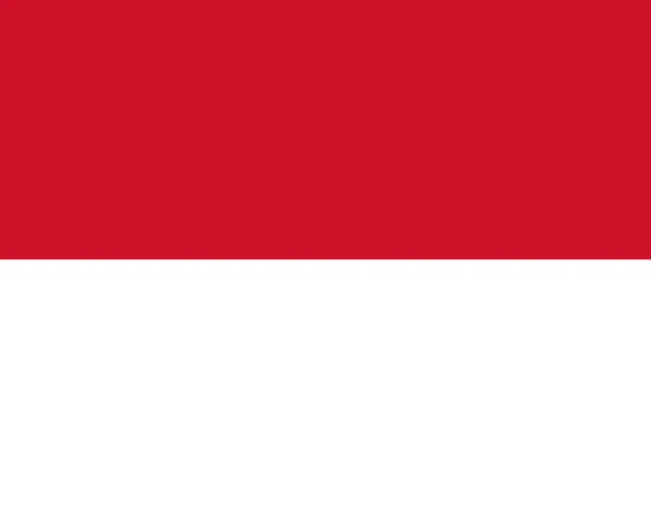 インドネシアの色付きのフラグ — ストックベクタ