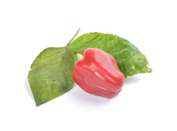 Rode bal peper op witte — Stockfoto
