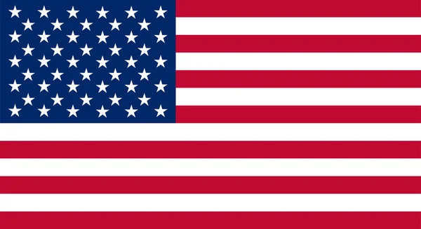 Gekleurde vlag van de Verenigde Staten — Stockvector