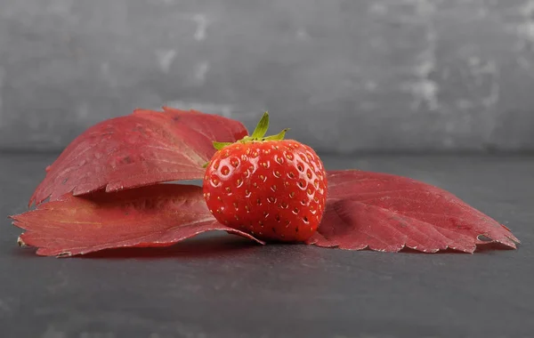 Fresa sobre hojas y esquisto — Foto de Stock