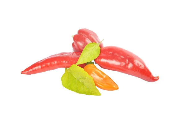 Red ball peppers with leaves isolated — Stock Photo, Image