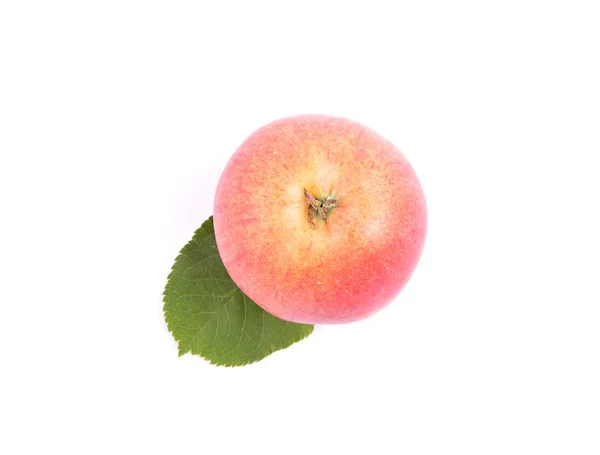 Manzana en hoja y blanco — Foto de Stock
