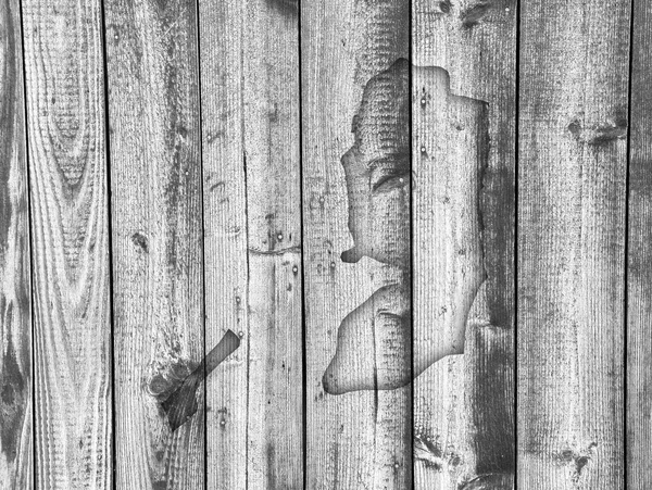 Map of Palestine on weathered wood — Stock Photo, Image