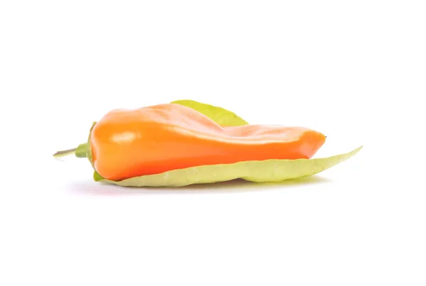 Orange ball pepper on leave — Stock Photo, Image