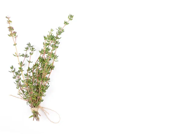 Thymus stems on white — Stock Photo, Image