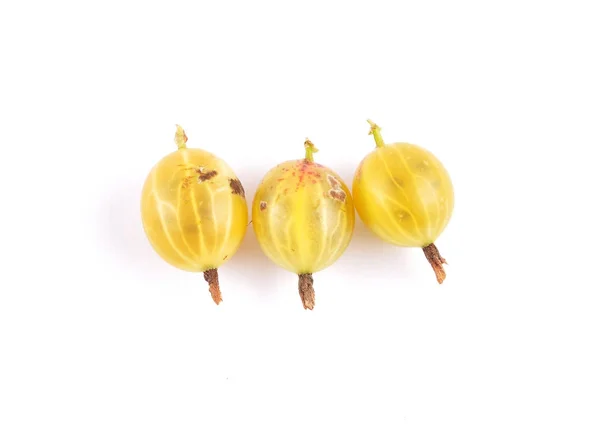 Beyaz Sarı bektaşi üzümü — Stok fotoğraf