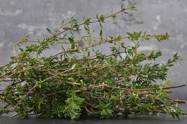 Thymus stems on concrete — Stock Photo, Image