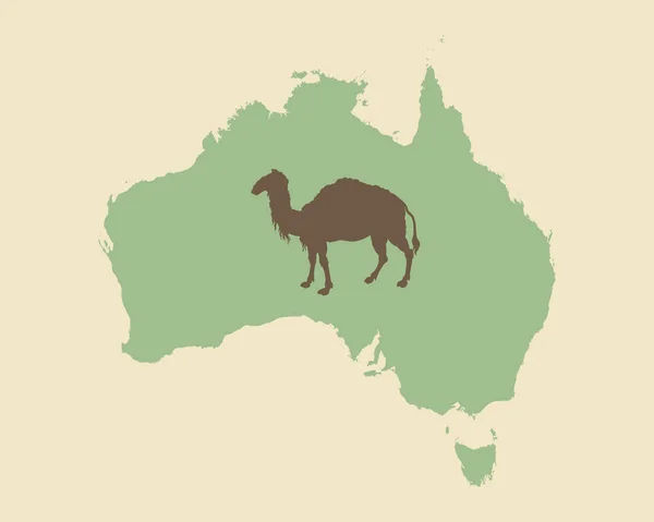 Camel and Australia vintage style — Stock Vector