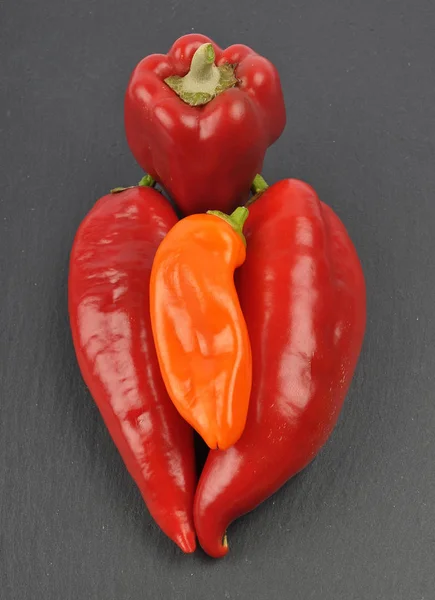 Ball pepper on slate — Stock Photo, Image