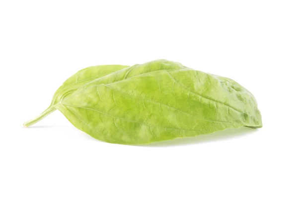 Basil leaf on white — Stock Photo, Image