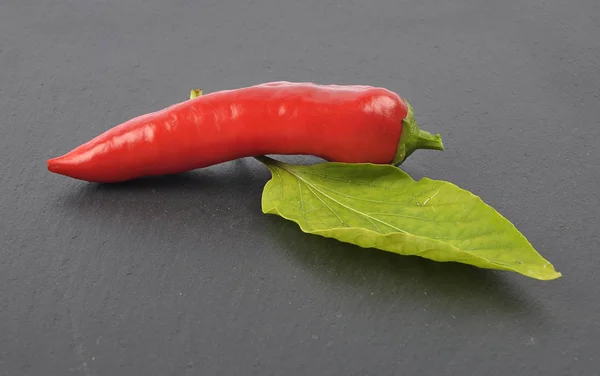 Ball pepper on slate — Stock Photo, Image