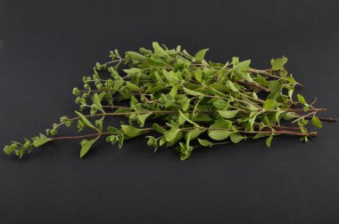 Mercanköşk siyah arka plan üzerine