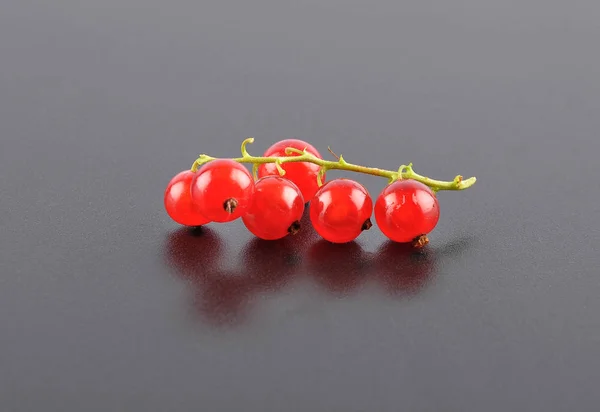 Red currant on black — Stock Photo, Image