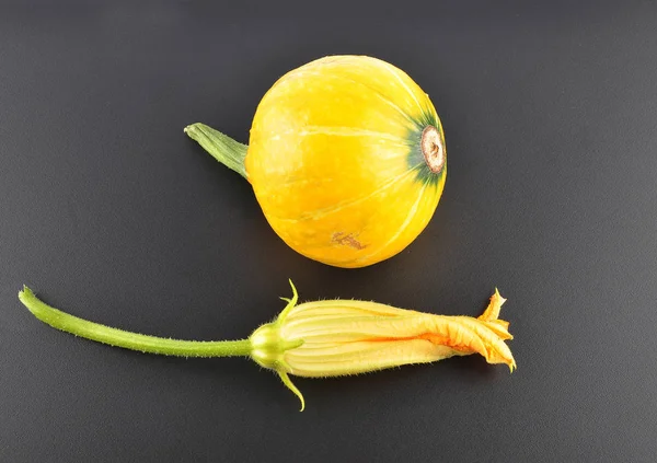 Cucurbit y flores en negro —  Fotos de Stock