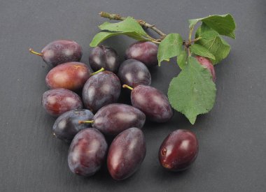 Dal ve yapraklı erik.