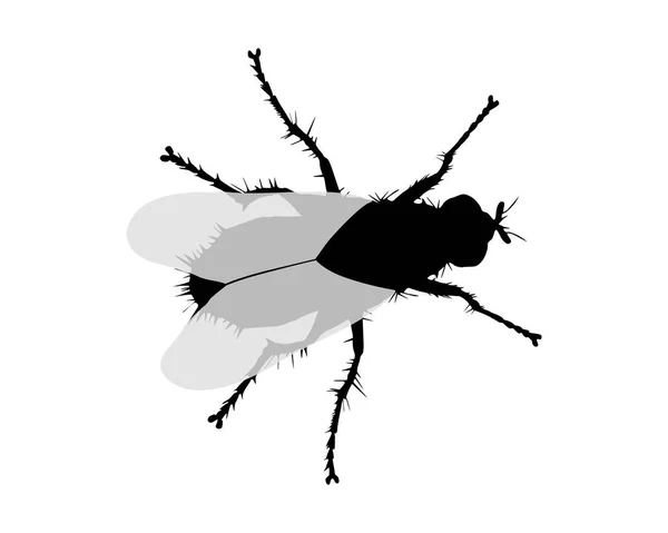 Silhouette einer Fliege auf weißem Hintergrund — Stockvektor