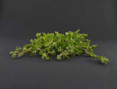 Mercanköşk siyah arka plan üzerine