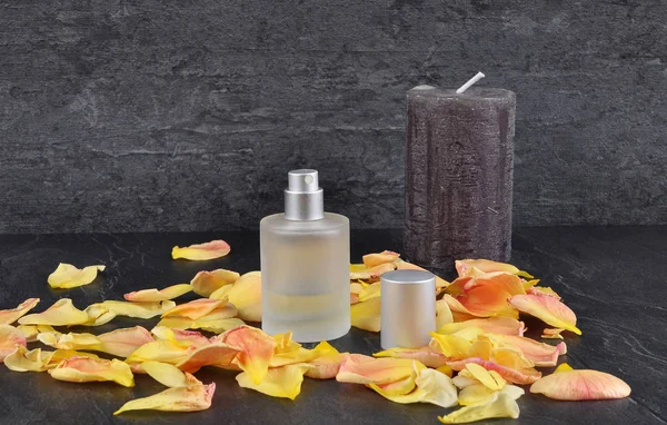 Perfume natural y pétalos de rosa sobre pizarra — Foto de Stock