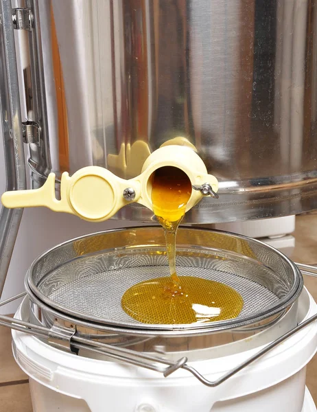 Extracter elek içine üzerinden tatlım