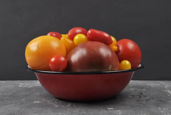 Variedad de cultivares de tomate en cuenco de esmalte sobre hormigón —  Fotos de Stock