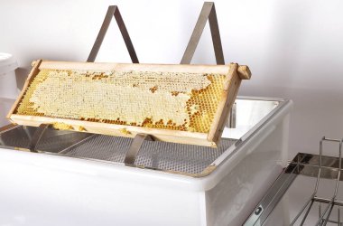 Beyaz plastik uncapping küvet, petek