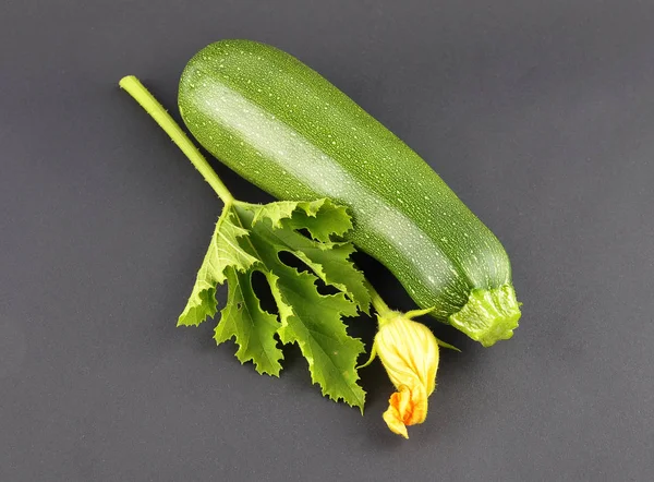 Zucchini, flower and leaf on black — Stock Photo, Image
