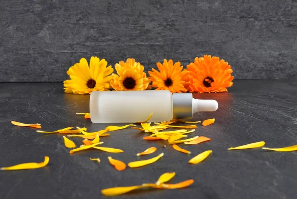 Natural cosmetics, common marigold and petals on shale — Stock Photo, Image