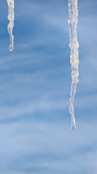 Icicles Hang Metal Roof Melt Blue Sky — Stock Photo, Image