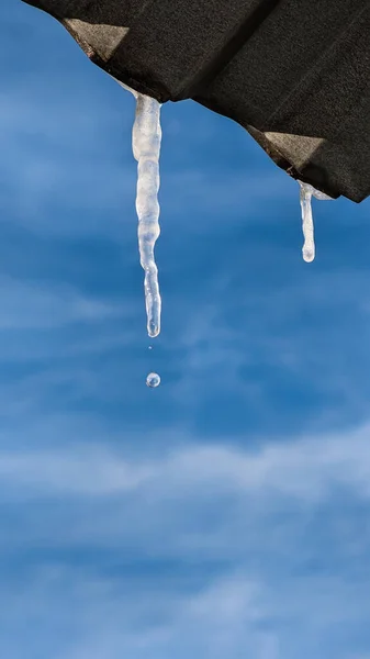 Buz Saçakları Metal Çatıdan Sarkıyor Mavi Gökyüzüne Karşı Eriyor — Stok fotoğraf